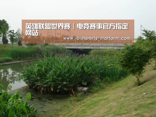 案例展示四(图1)