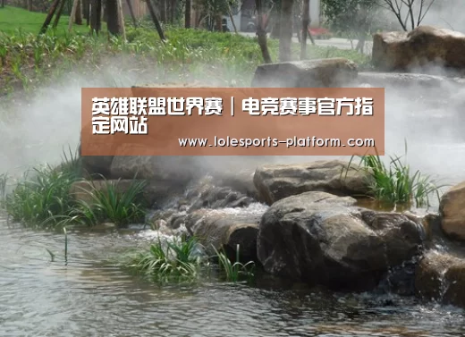 案例展示五