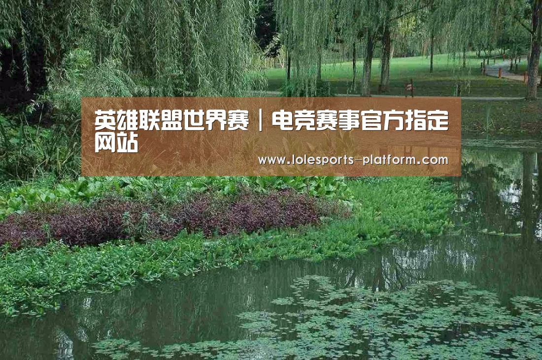 案例展示一