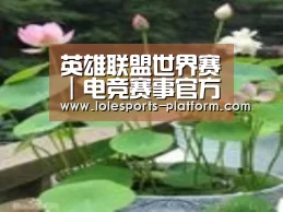 产品名称一