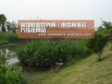 案例展示四
