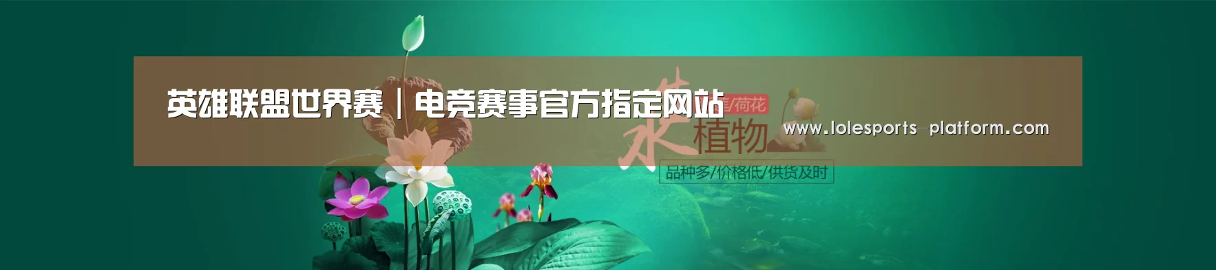 鲜花水草花卉网站模板