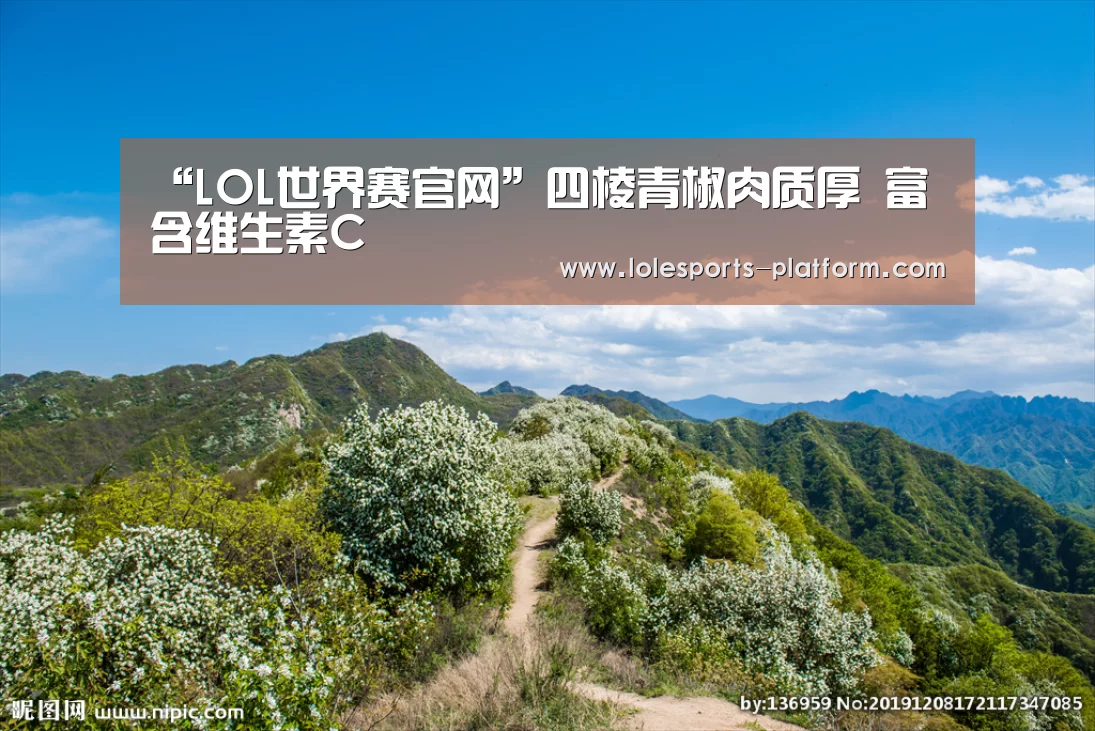 “LOL世界赛官网”四棱青椒肉质厚 富含维生素C(图1) 全球总决赛官网