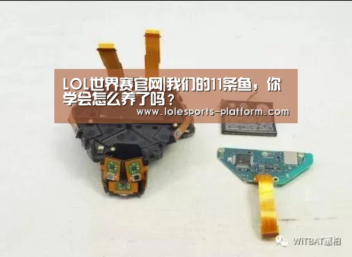 LOL世界赛官网|我们的11条鱼,你学会怎么养了吗?(图1) 英雄联盟世界赛