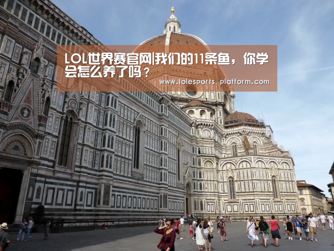 LOL世界赛官网|我们的11条鱼,你学会怎么养了吗?(图2) LOL世界赛官网