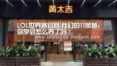 LOL世界赛官网|我们的11条鱼,你学会怎么养了吗?(图3) 全球总决赛官网