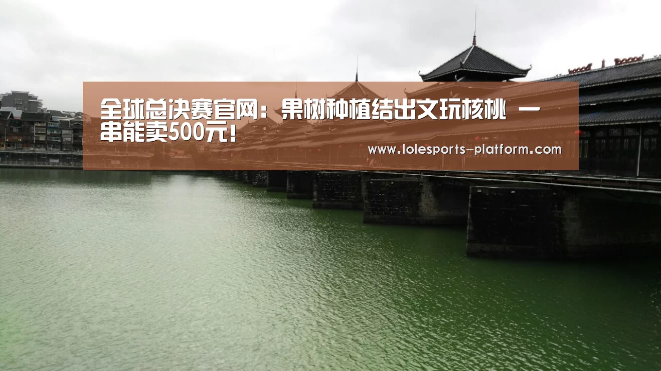 英雄联盟世界赛