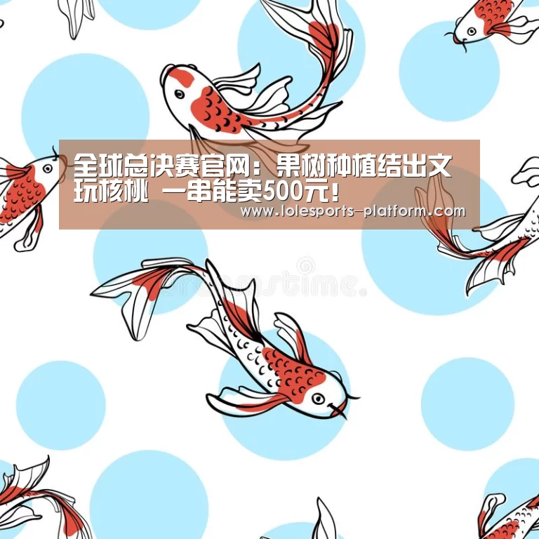 全球总决赛官网