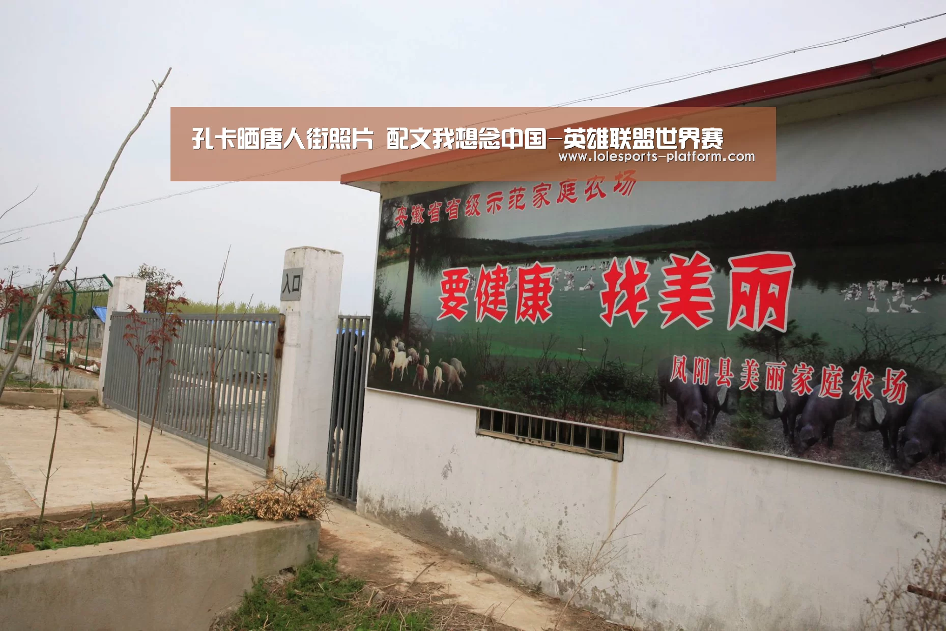 孔卡晒唐人街照片 配文我想念中国-英雄联盟世界赛(图3) 全球总决赛官网