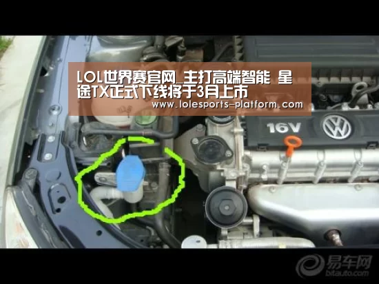 LOL世界赛官网_主打高端智能 星途TX正式下线将于3月上市(图3) LOL世界赛官网