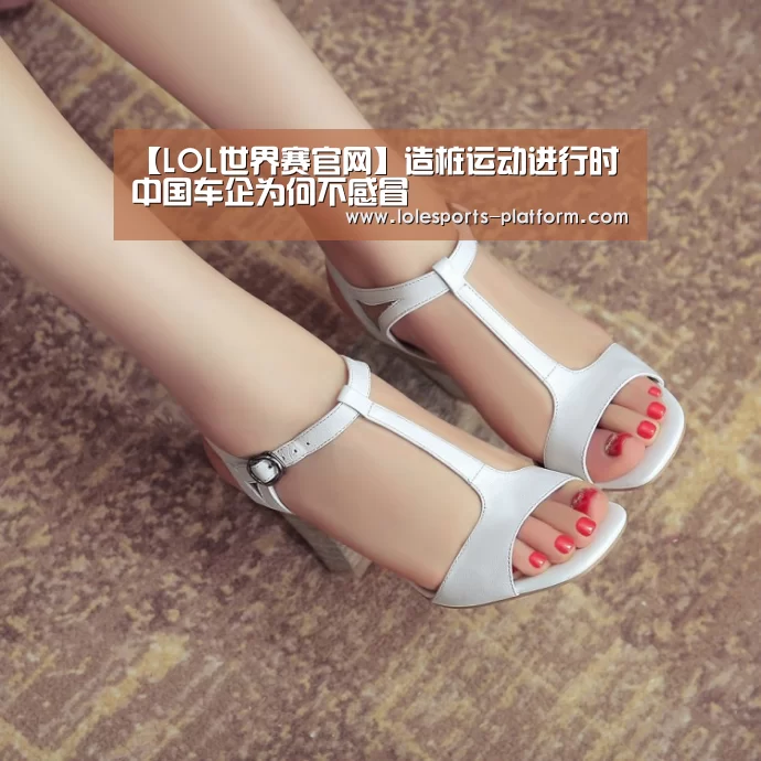 【LOL世界赛官网】造桩运动进行时 中国车企为何不感冒(图3) LOL世界赛官网