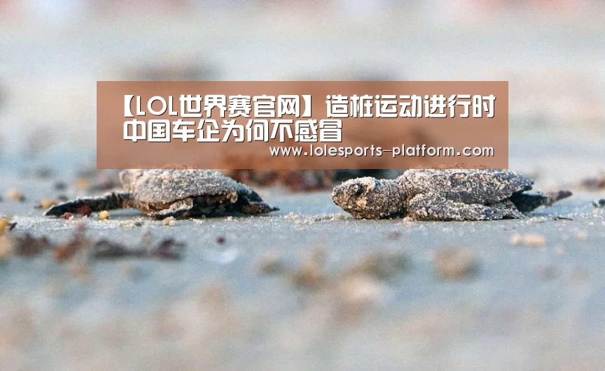 【LOL世界赛官网】造桩运动进行时 中国车企为何不感冒(图2) LOL世界赛官网