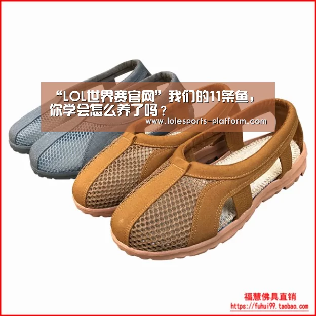 全球总决赛官网
