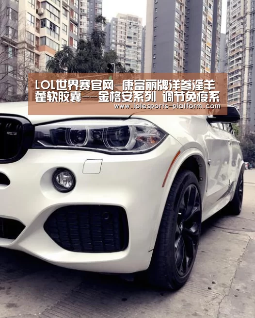 全球总决赛官网