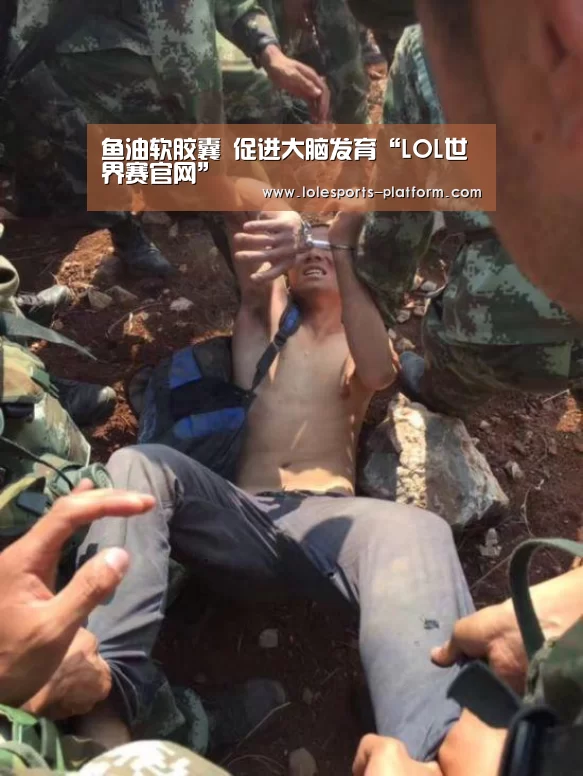 鱼油软胶囊 促进大脑发育“LOL世界赛官网”(图4) 全球总决赛官网