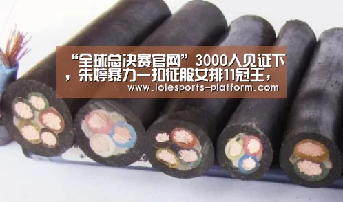 “全球总决赛官网”3000人见证下,朱婷暴力一扣征服女排11冠王,解说赞叹扣球像炮弹(图4) 全球总决赛官网