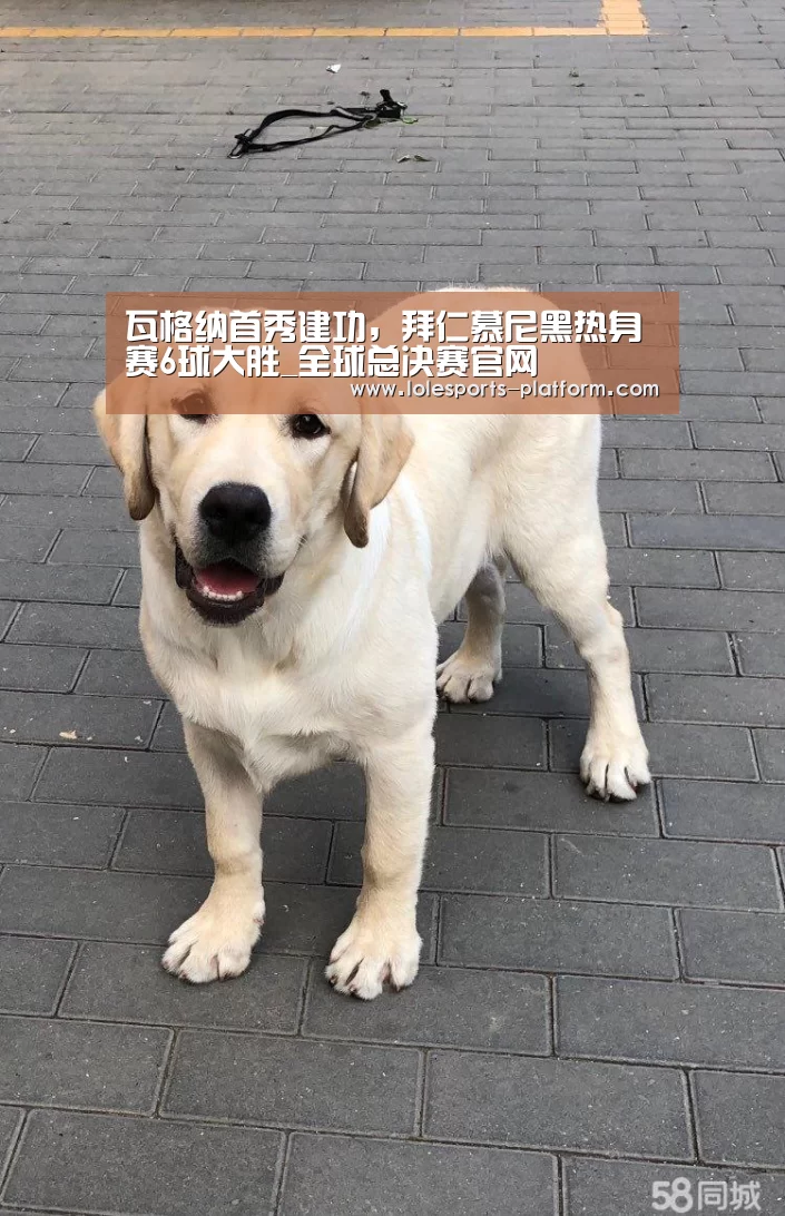 瓦格纳首秀建功,拜仁慕尼黑热身赛6球大胜_全球总决赛官网(图1) 英雄联盟世界赛
